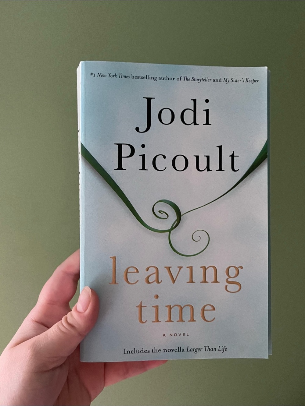 📚 4/25$ 📚 Leaving Time by Jodi Picoult